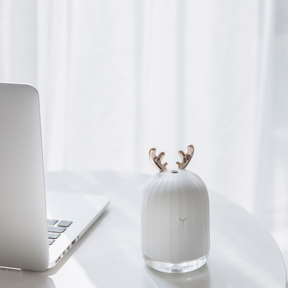 Ultrasonic Air Humidifier & Oil Diffuser